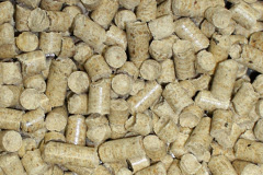 Calligarry biomass boiler costs